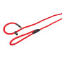 FLAMINGO ANTI-PULL LEASH ALPS RED